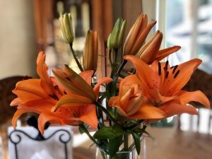 Read more about the article Lily Flowers Meaning, Colors, and Symbolism