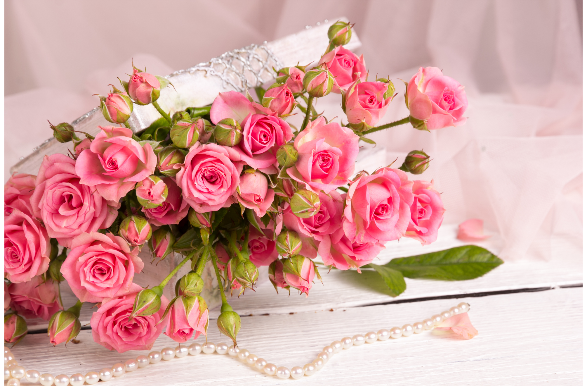 You are currently viewing What are the Best Congratulations Flowers for Every Special Occasion?