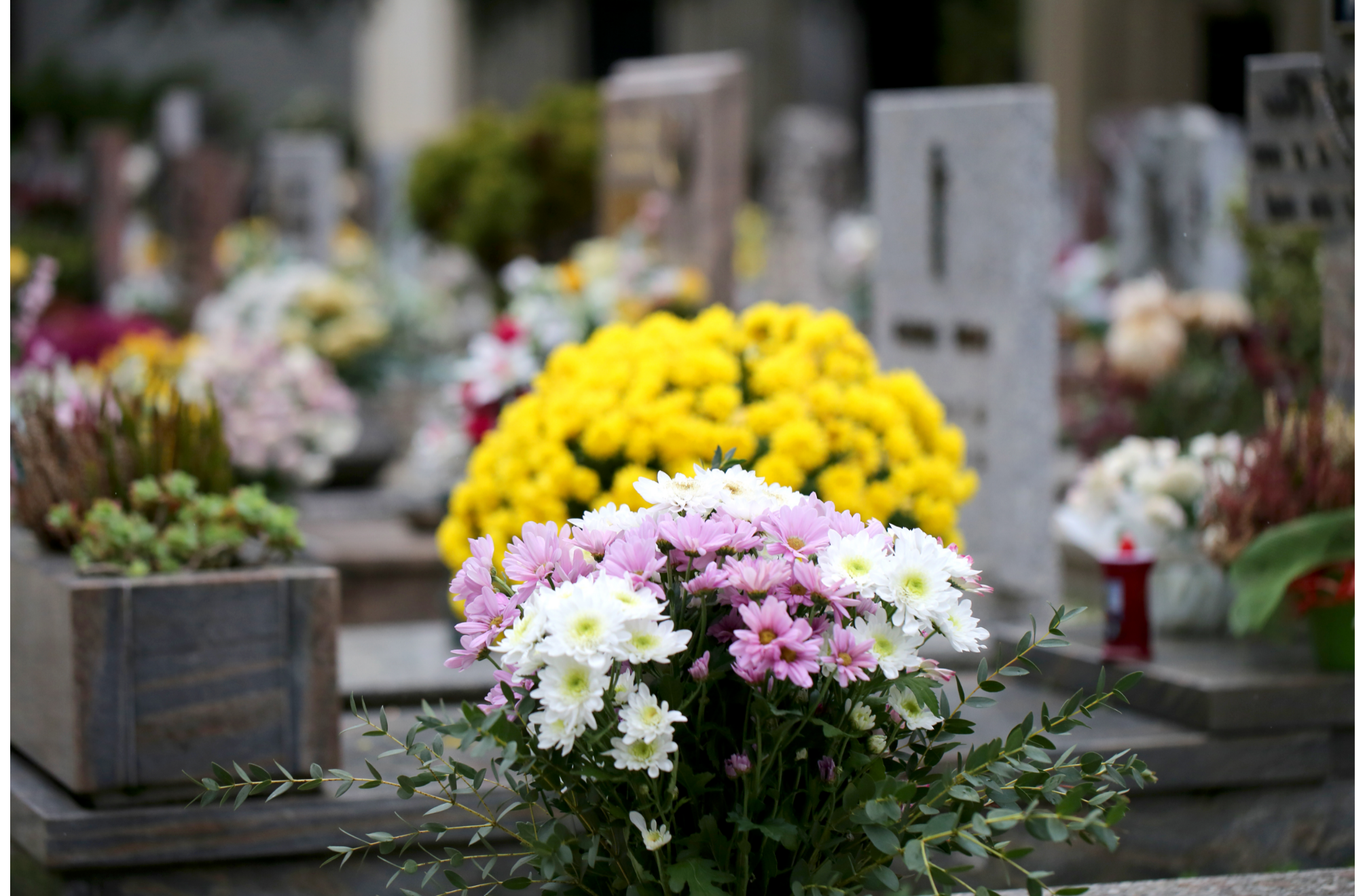 You are currently viewing An Ultimate Guide to Funeral Flowers Etiquette