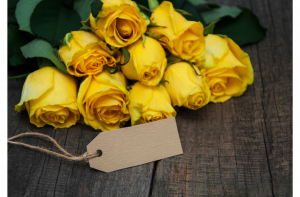 Read more about the article What Do Yellow Roses Mean? History and Symbolism